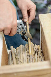 man cutting twigs to fit inside a wooden box with hand trimmer